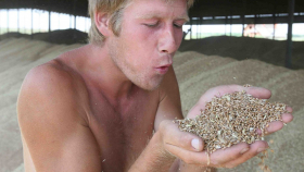 «Русагротранс» снизил оценку урожая пшеницы на 1 млн тонн
